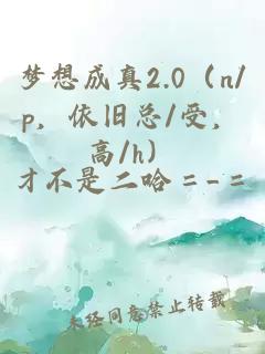 梦想成真2.0（n/p，依旧总/受，高/h）