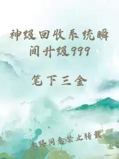 神级回收系统瞬间升级999