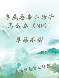 穿成恶毒小姑子怎么办（NP）