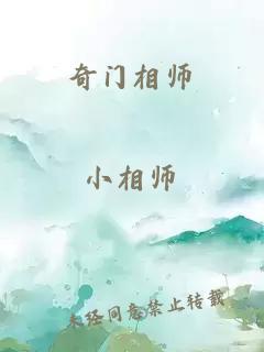 奇门相师