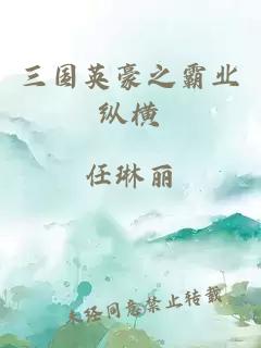 三国英豪之霸业纵横