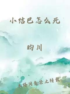 小结巴怎么死